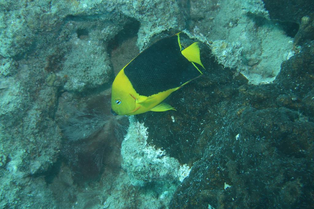 2008-05-17 15-37-58 H.JPG